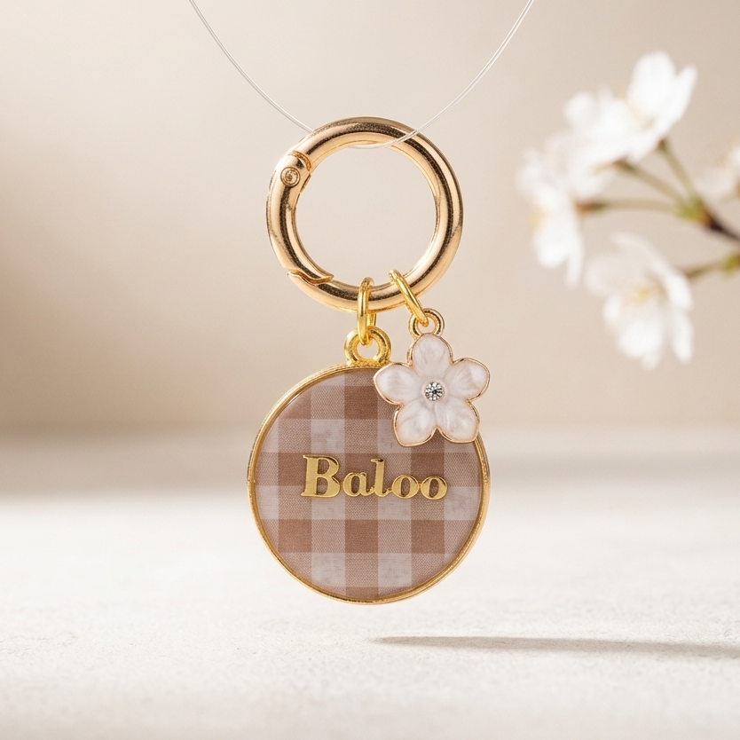 Médaille Vichy